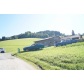 DSC07878